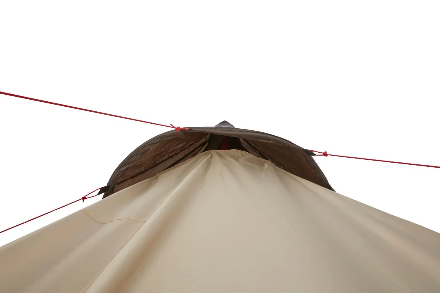 Grand Canyon Black Falls 8 Zelt (mojave/desert) 6 Grand Canyon Black Falls 8 Zelt (mojave/desert) – Bild 4