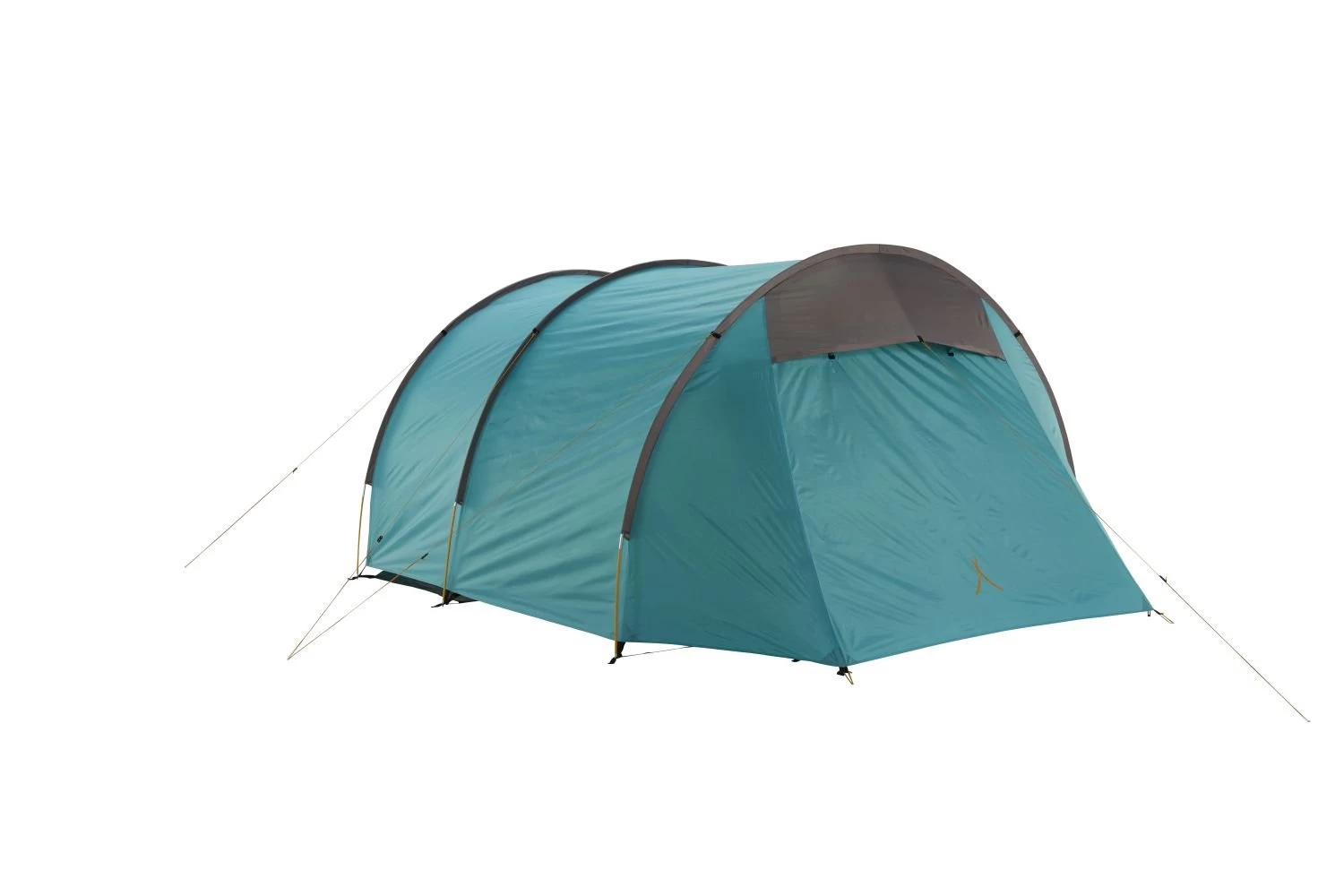 Grand Canyon Robson 4 Zelt (blue-grass) 4 Grand Canyon Robson 4 Zelt (blue-grass) – Bild 2