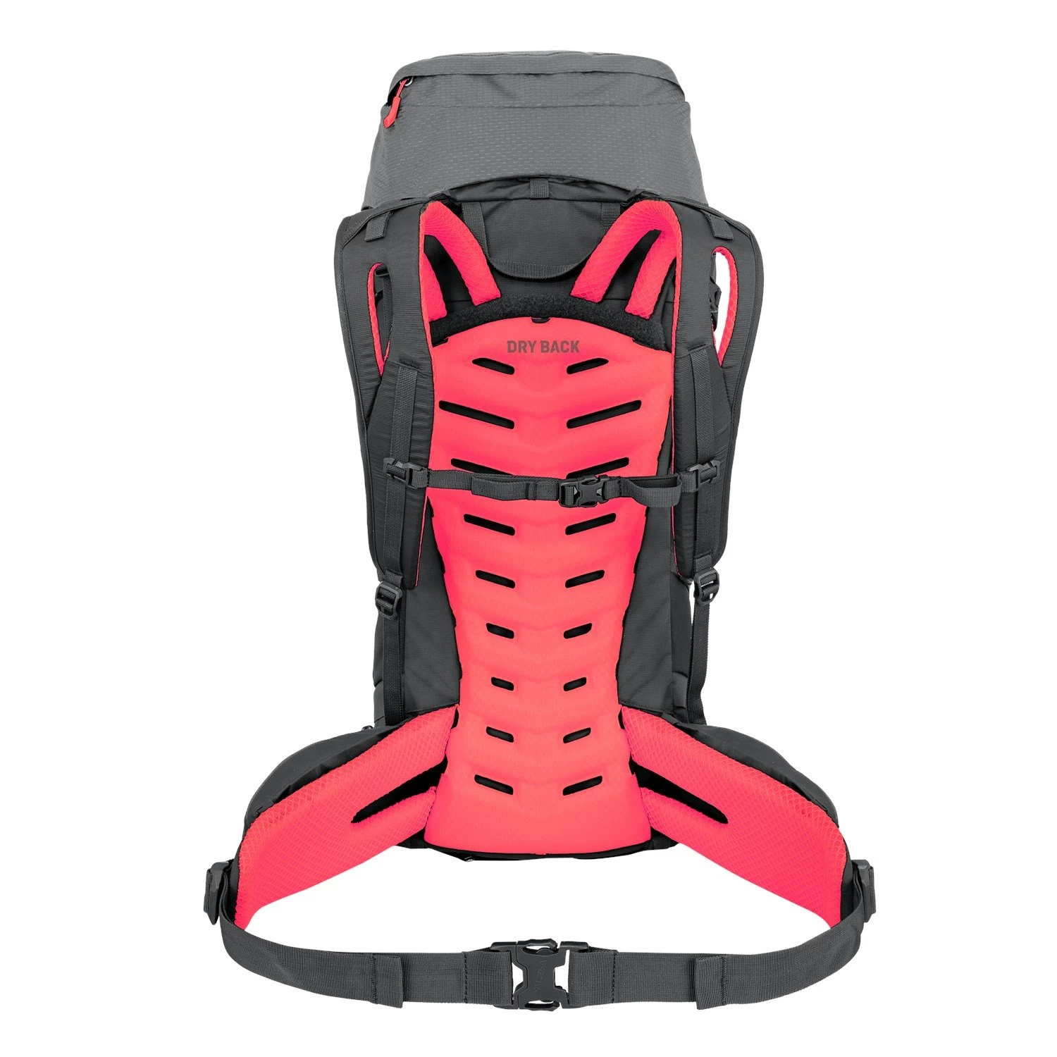 Salewa Alptrek 38+5 BP Ws Rucksack (quiet-shade/fluo-coral) – Bild 2